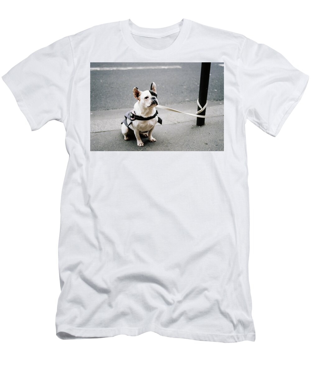 Dog T-Shirt featuring the photograph Well Behaved Dog Waiting For Owner by Barthelemy De Mazenod