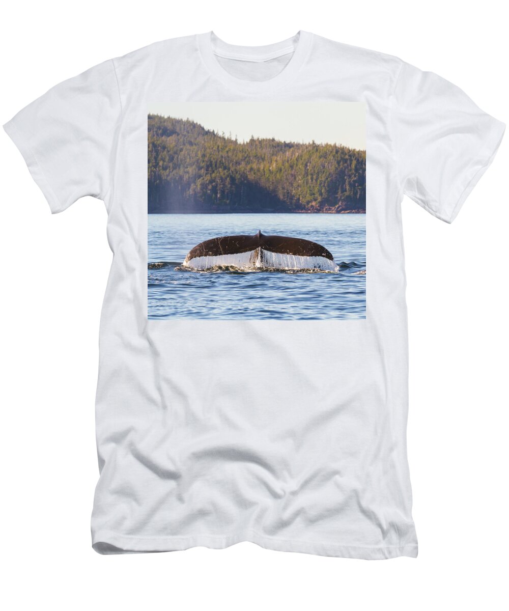 Whale Tale T-Shirt featuring the photograph Whale Tale 1 by Michael Rauwolf