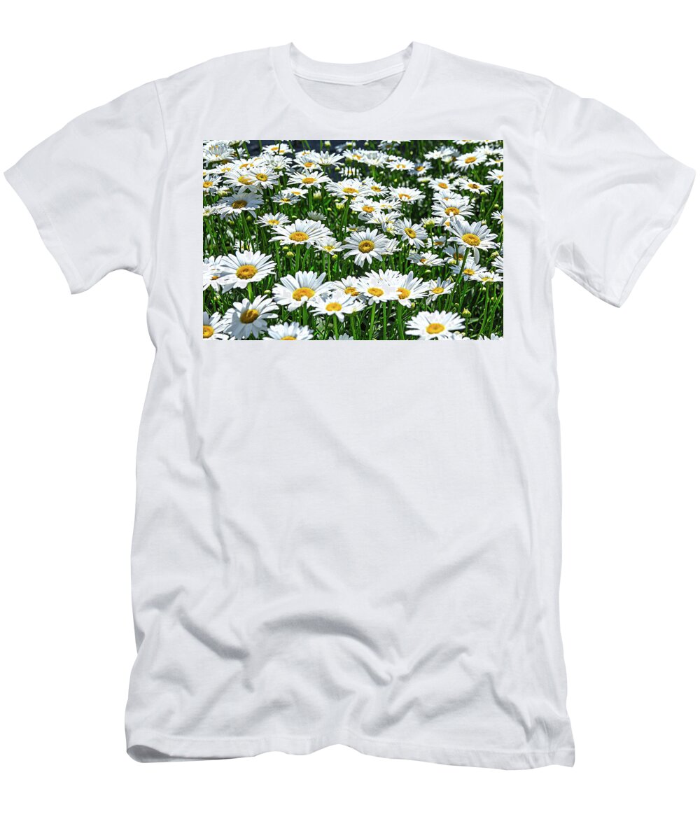 White Yellow Flowers Field T-Shirt featuring the photograph White and Yellow Flowers in a Field by David Morehead