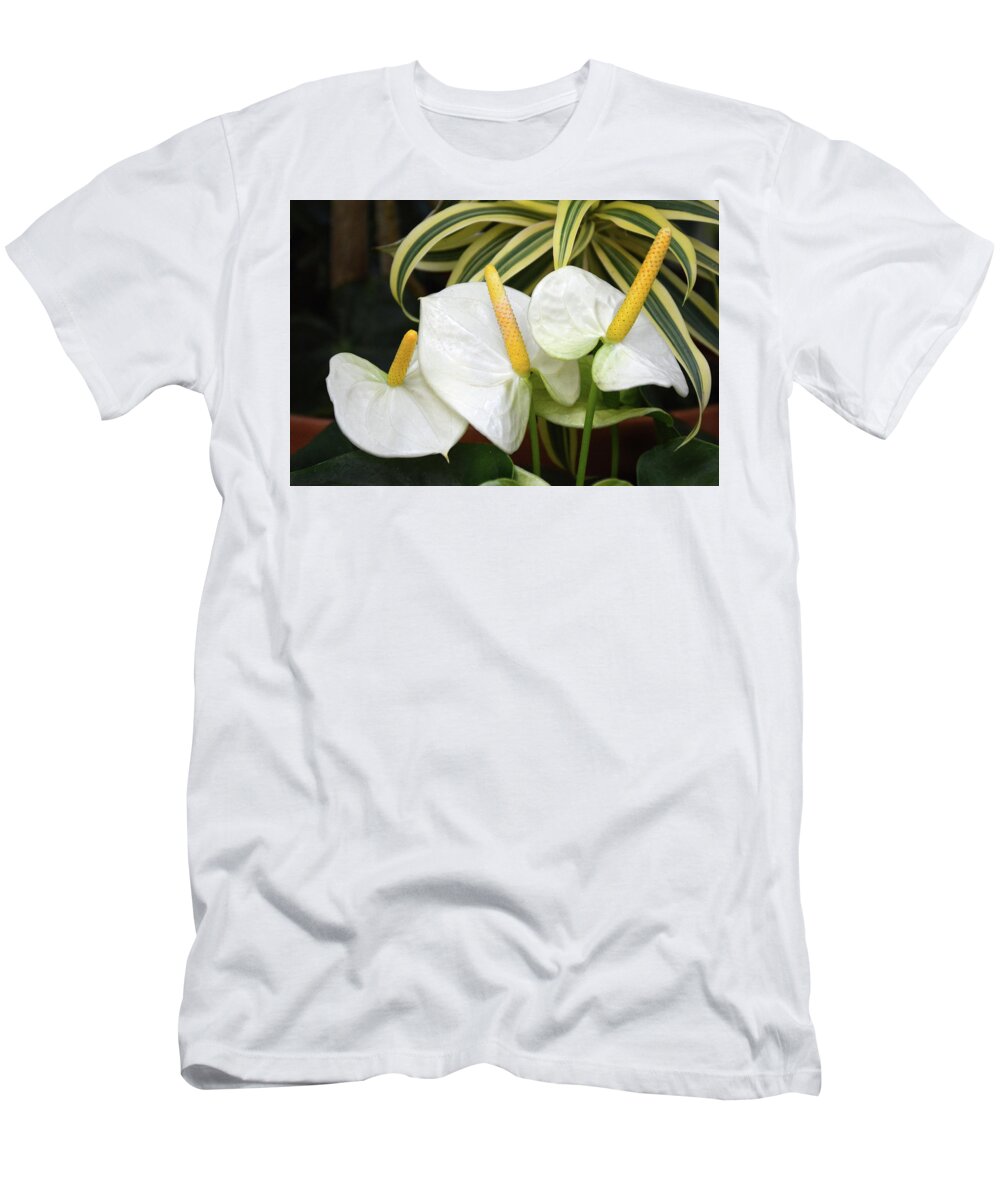 Lily T-Shirt featuring the photograph White Anthurium Lily by Jerry Griffin