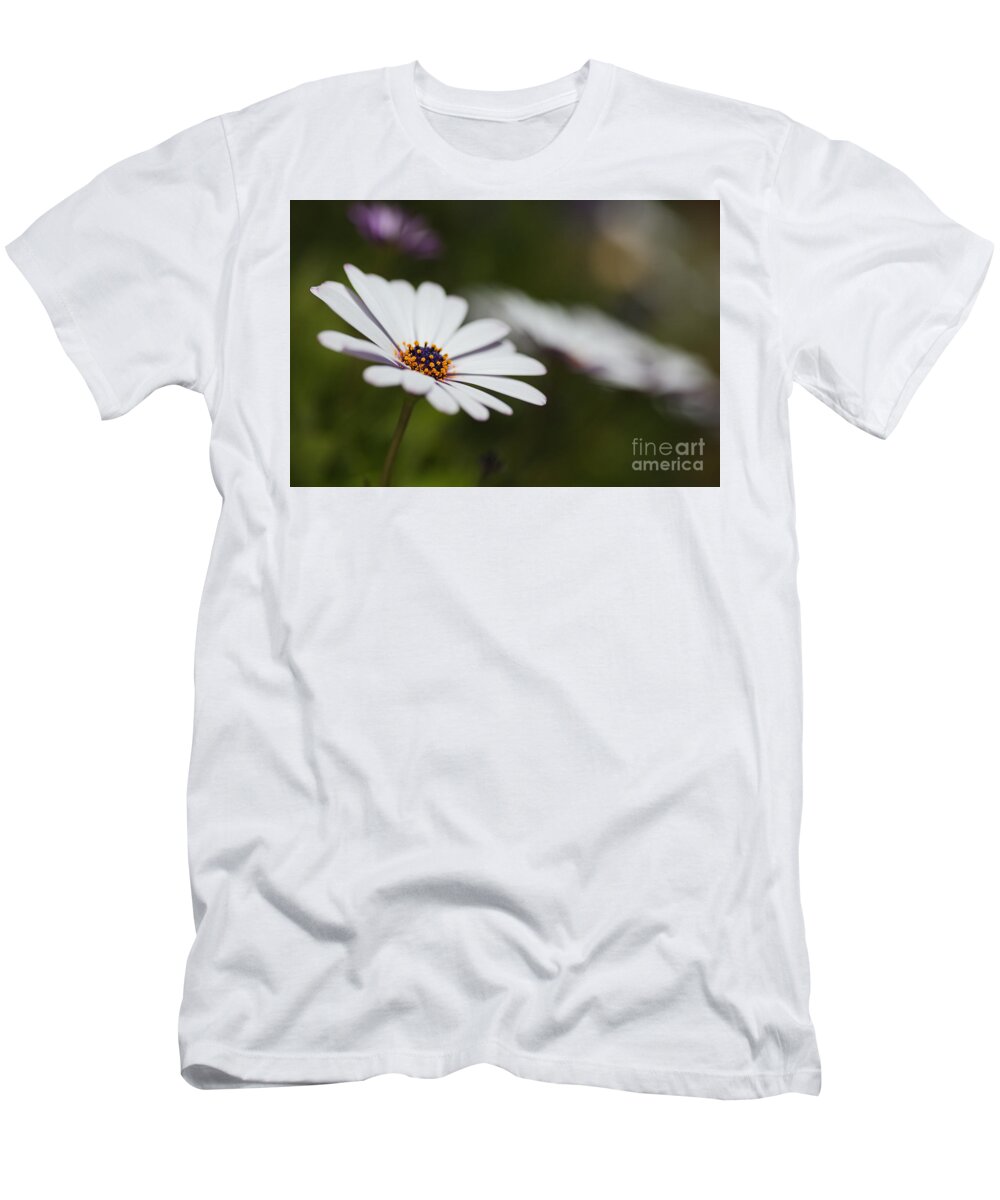 Cape Daisy Flower Art T-Shirt featuring the photograph White Cape Daisy by Joy Watson