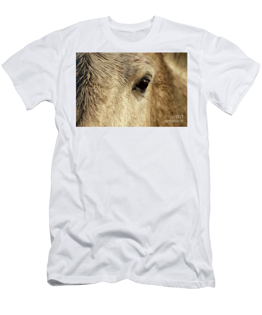 Horse T-Shirt featuring the photograph White horse eye by Delphimages Photo Creations