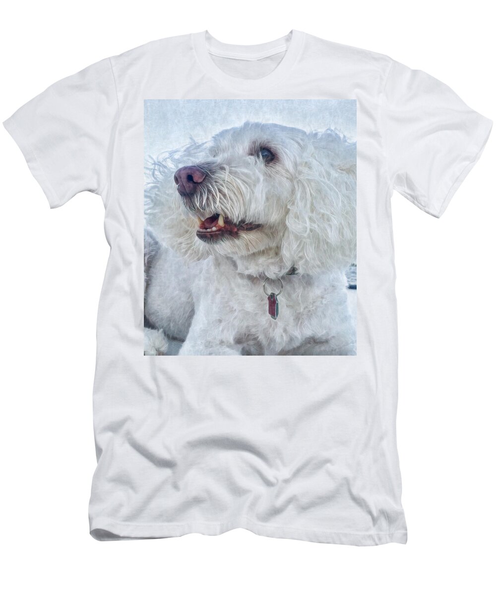 Debra Martz T-Shirt featuring the photograph White Labradoodle by Debra Martz