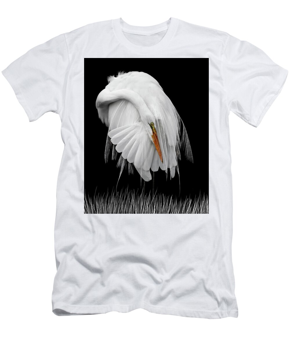 White On Black T-Shirt featuring the photograph White on Black by Wes and Dotty Weber