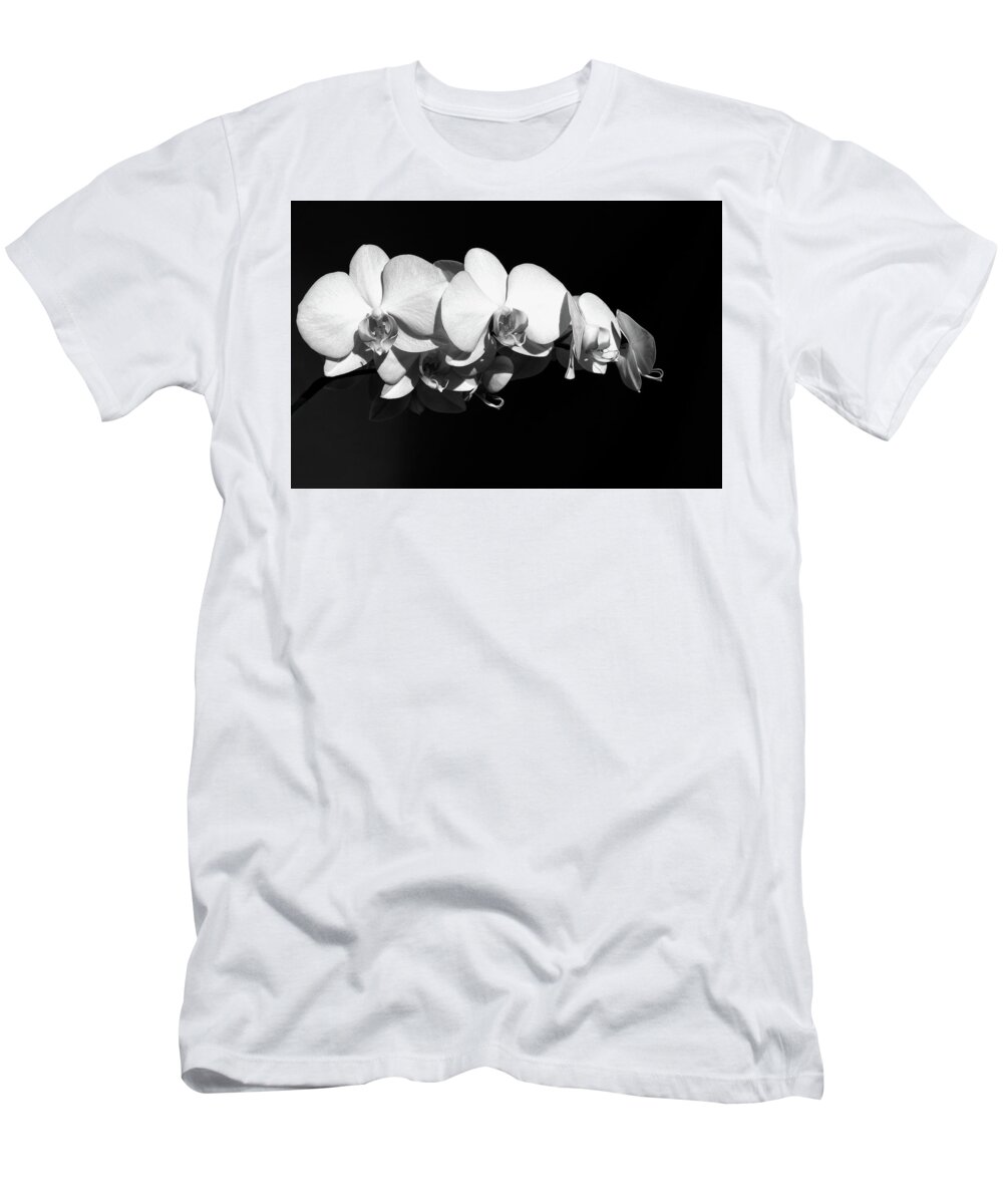 Flower T-Shirt featuring the photograph White Orchid Phalaenopsis Amabilis Flower Petal by John Williams