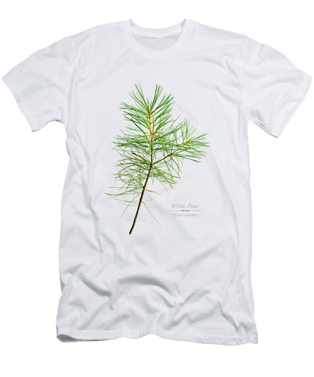 White Pine T-Shirt featuring the mixed media White Pine by Christina Rollo