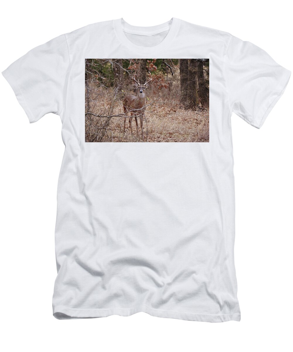 Deer T-Shirt featuring the photograph Wild Deer Buck Texas Oak Forest by Gaby Ethington