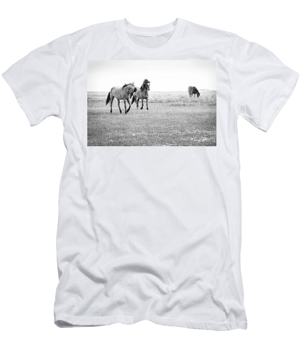 Wild Horse T-Shirt featuring the photograph Wild Horses on North Carolina Tidal Flats Near Beaufort by Bob Decker