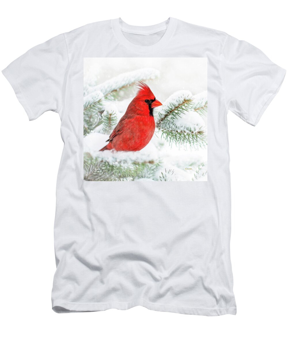 Winter T-Shirt featuring the photograph Winter Cardinal Square by Christina Rollo