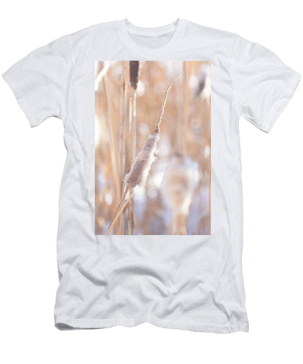 Winter T-Shirt featuring the photograph Winter Cattails by Karen Rispin