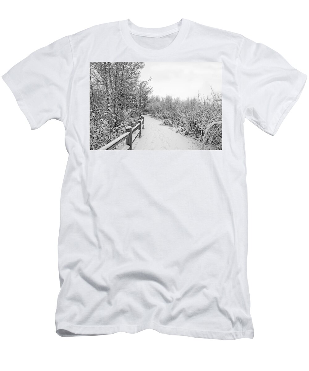 Icy T-Shirt featuring the photograph Winter Path by Dart Humeston