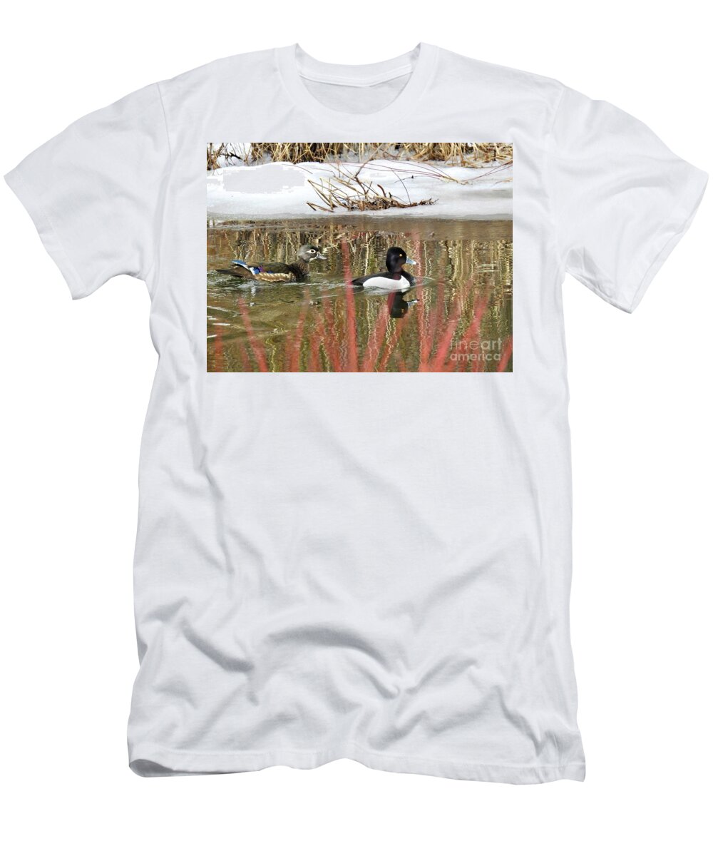 Ring Neck Duck T-Shirt featuring the photograph Wood Duck and Ring Neck by Nicola Finch