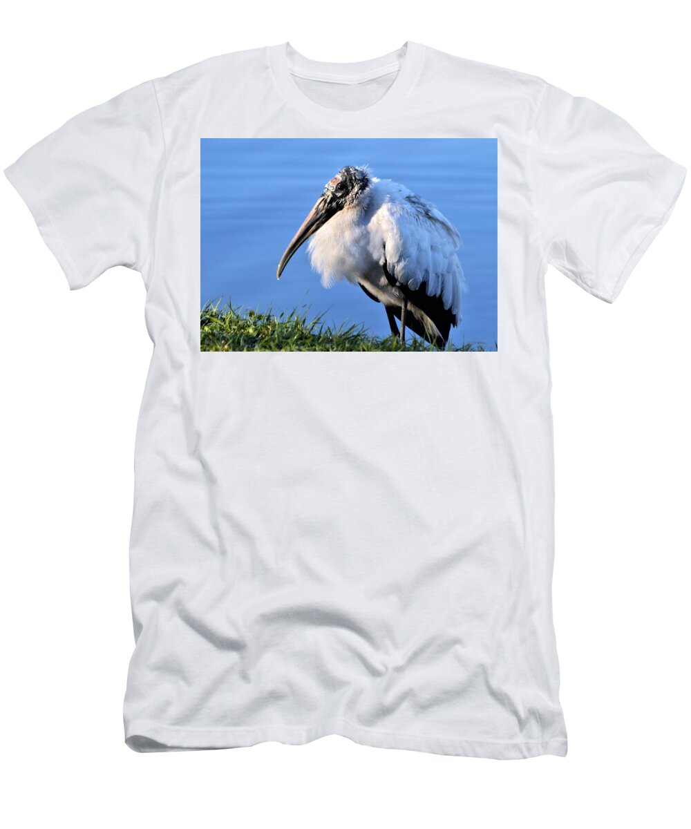 Woodstork Glow T-Shirt featuring the photograph Woodstork Glow by Warren Thompson