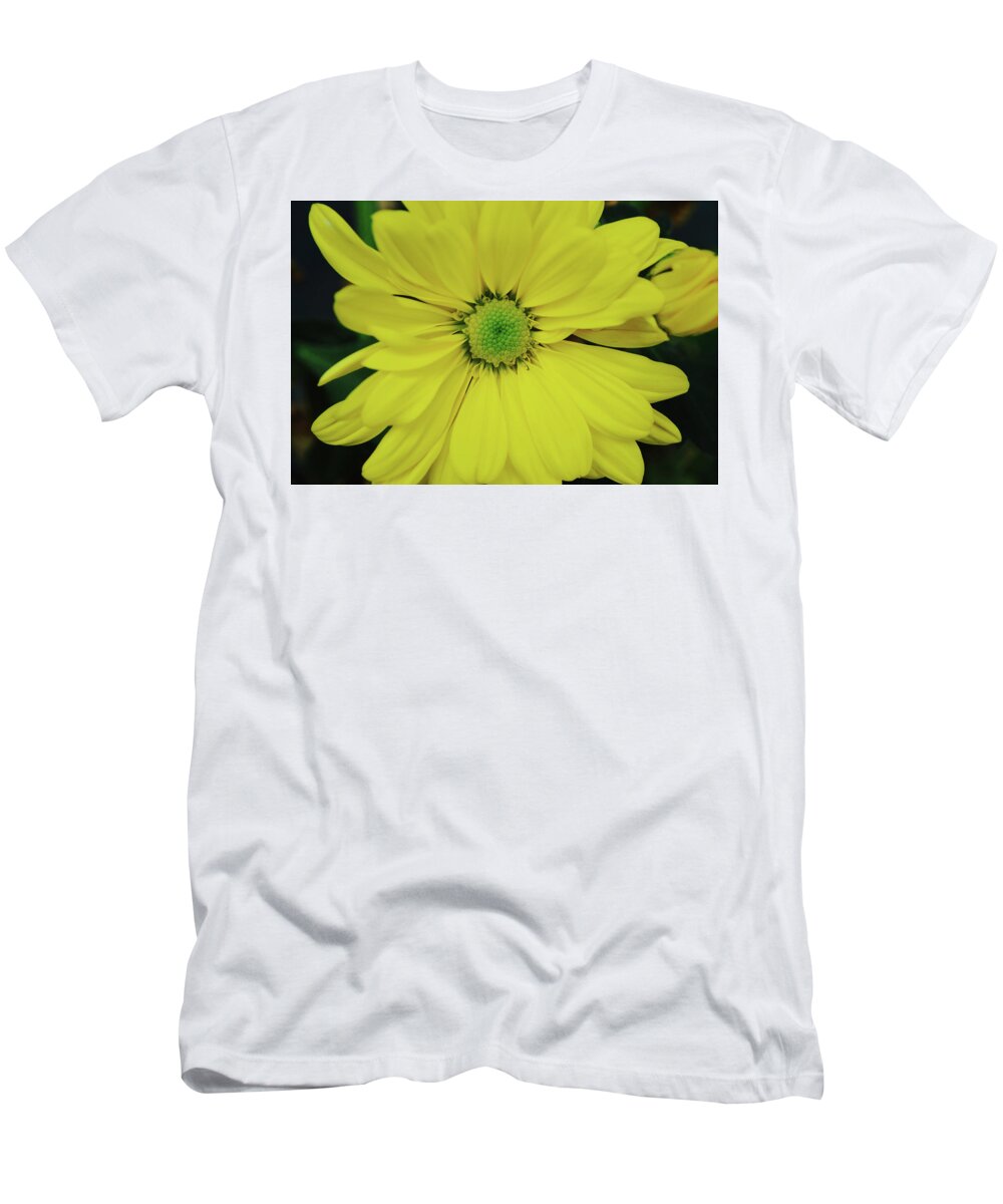 Flower T-Shirt featuring the photograph Yellow African Daisy Flower by Gaby Ethington