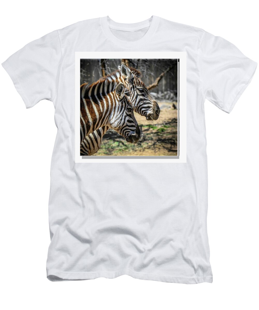 Zebra T-Shirt featuring the photograph Zebras by Will Wagner