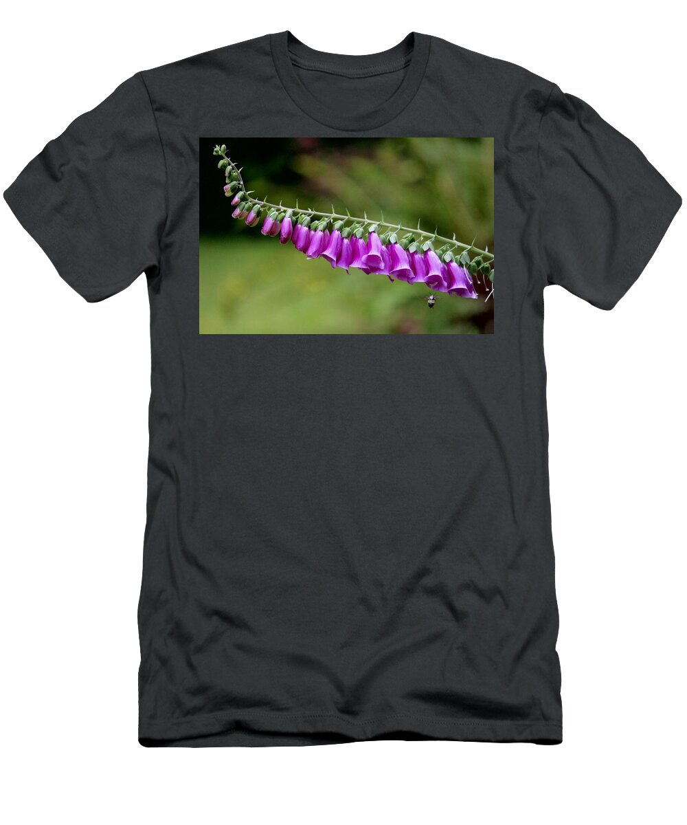 Flowers T-Shirt featuring the photograph Foxglove went horizontal by Kym Backland