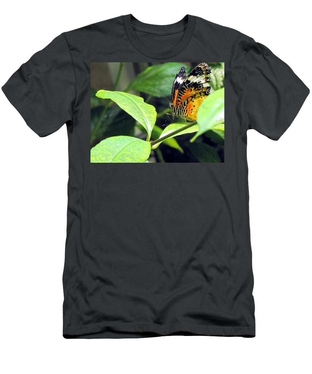 Butterfly T-Shirt featuring the photograph Tiger Wings by Jennifer Wheatley Wolf