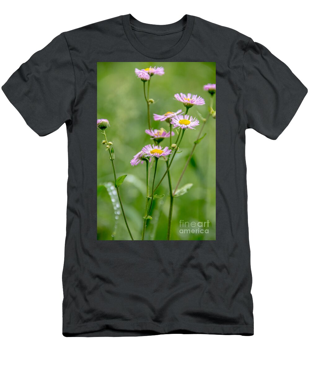 Landscape T-Shirt featuring the photograph Wild Pink Asters by Cheryl Baxter