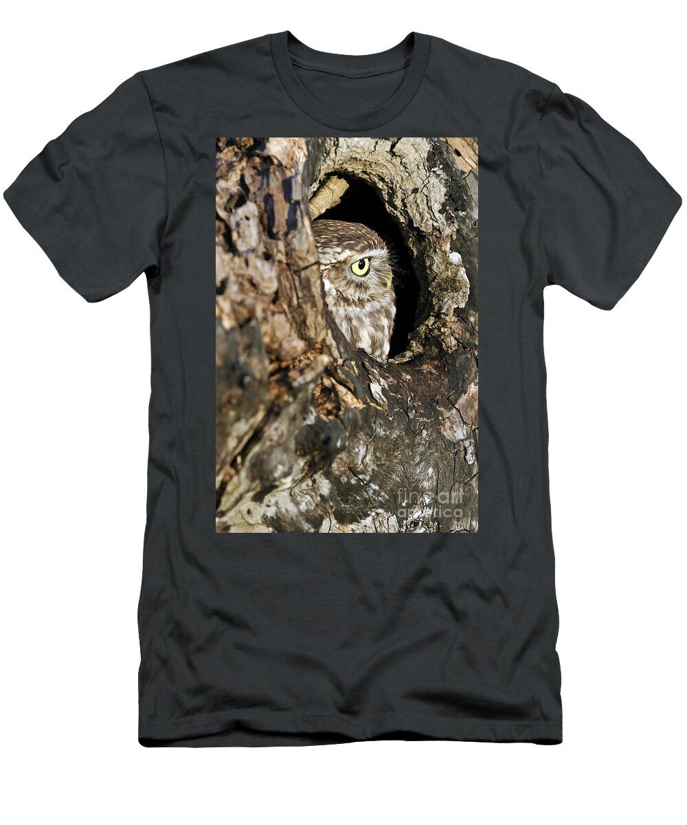 Little Owl T-Shirt featuring the photograph 090811p325 by Arterra Picture Library