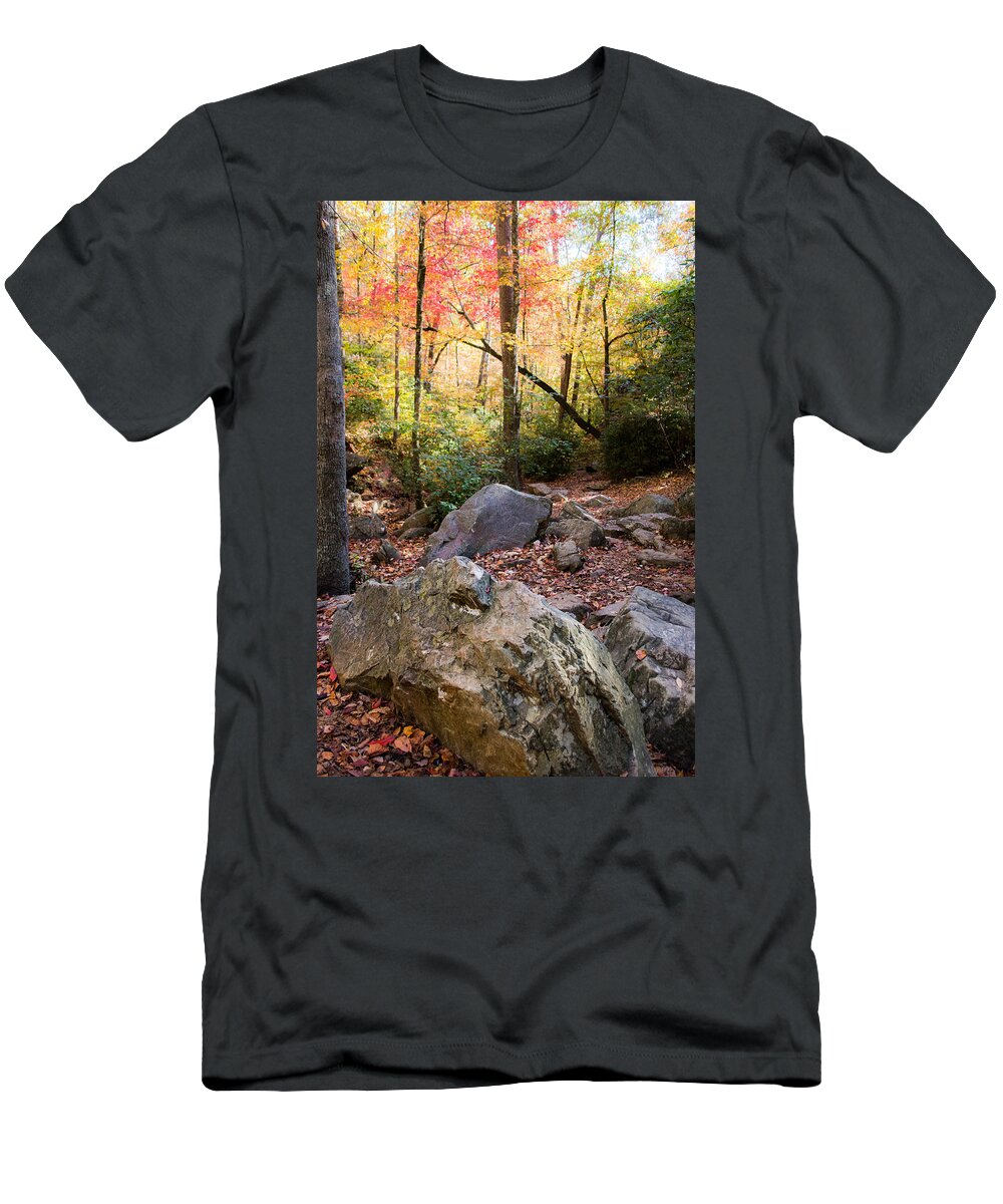 Autumn T-Shirt featuring the photograph A Palette of Colors #2 by Parker Cunningham