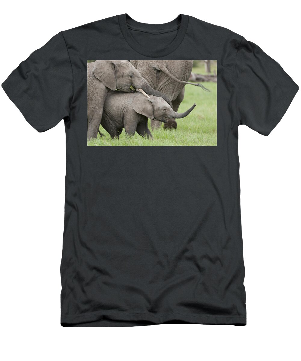 Feb0514 T-Shirt featuring the photograph African Elephant Calves Playing Kenya #1 by Tui De Roy