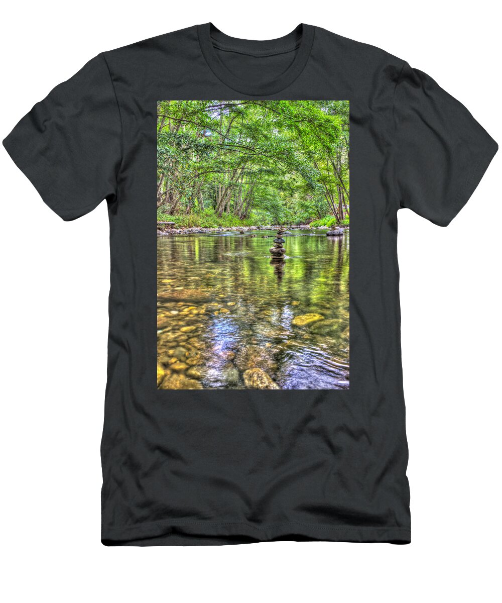 Asian T-Shirt featuring the photograph Balance #1 by Heidi Smith