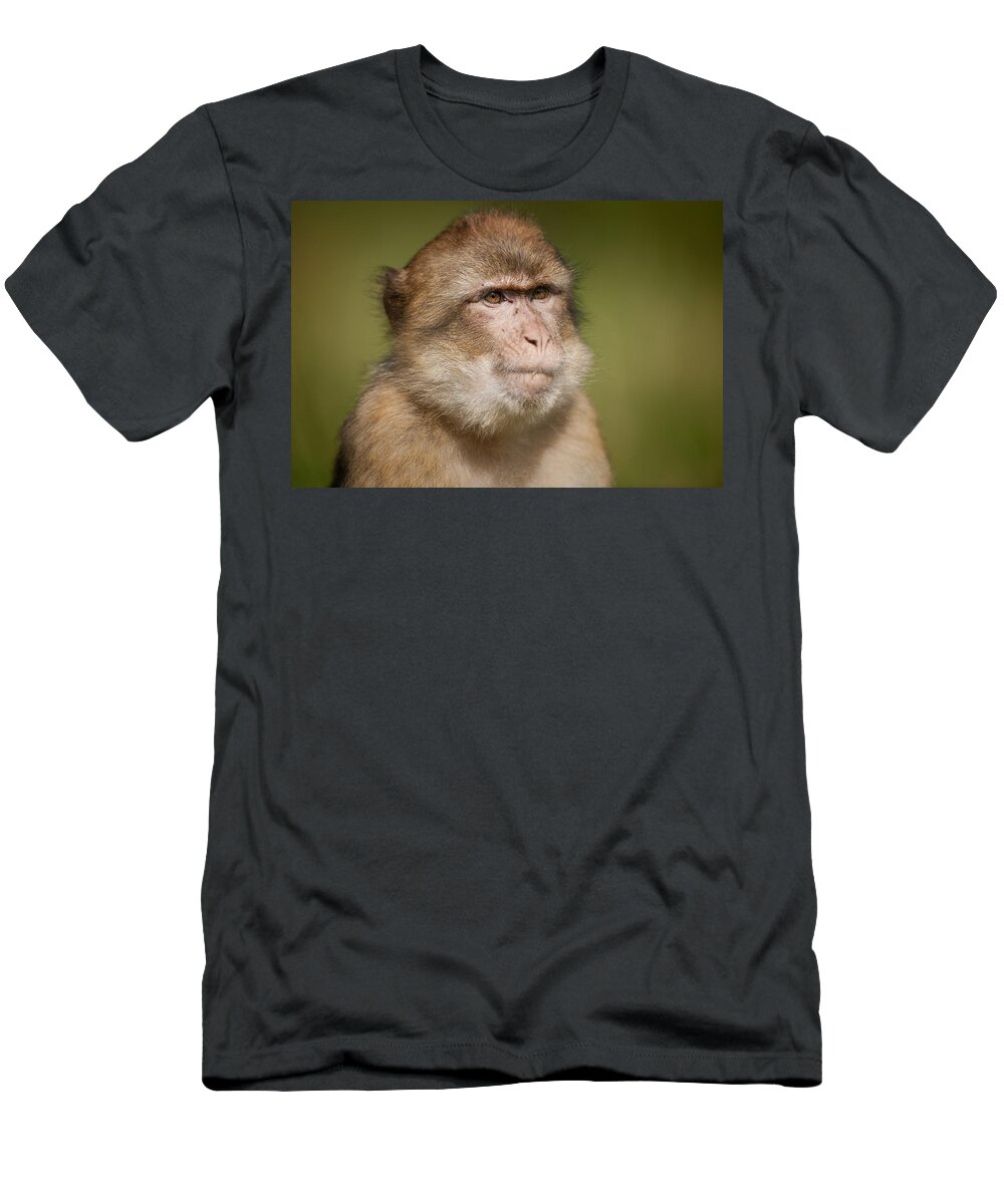 Monkey T-Shirt featuring the photograph Barbary Macaque #1 by Andy Astbury