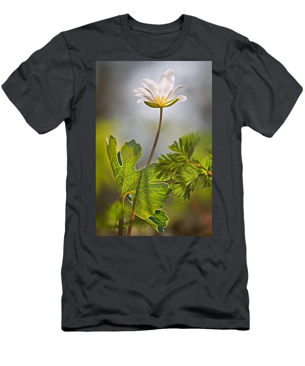 2014 T-Shirt featuring the photograph Bloodroot #2 by Robert Charity