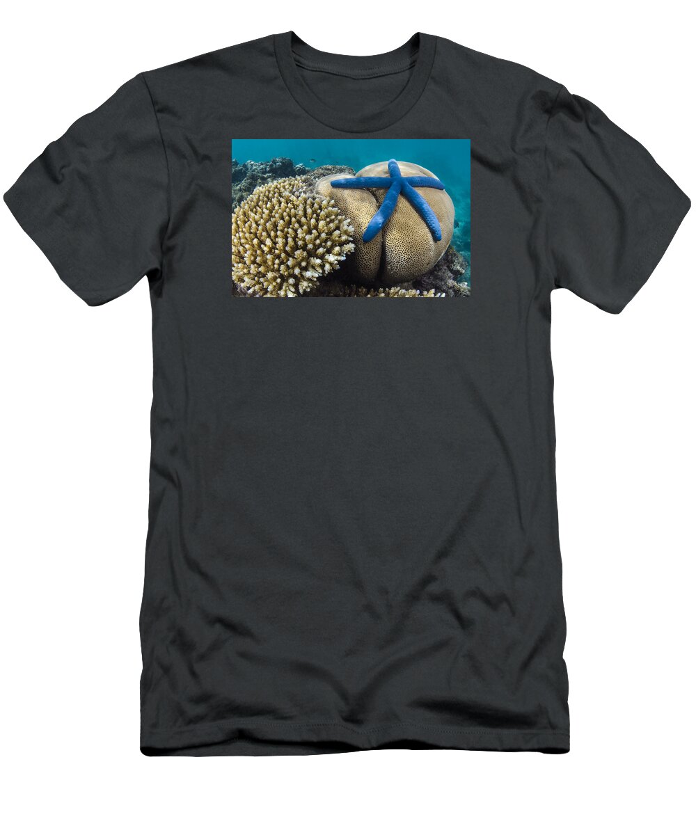 Pete Oxford T-Shirt featuring the photograph Blue Sea Star On Coral Reef Fiji by Pete Oxford