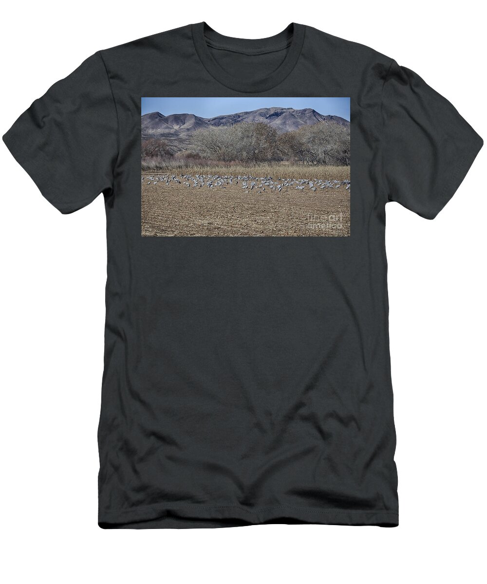 Bosque Del Apache T-Shirt featuring the photograph Bosque Del Apache New Mexico-Sand Cranes #1 by Douglas Barnard