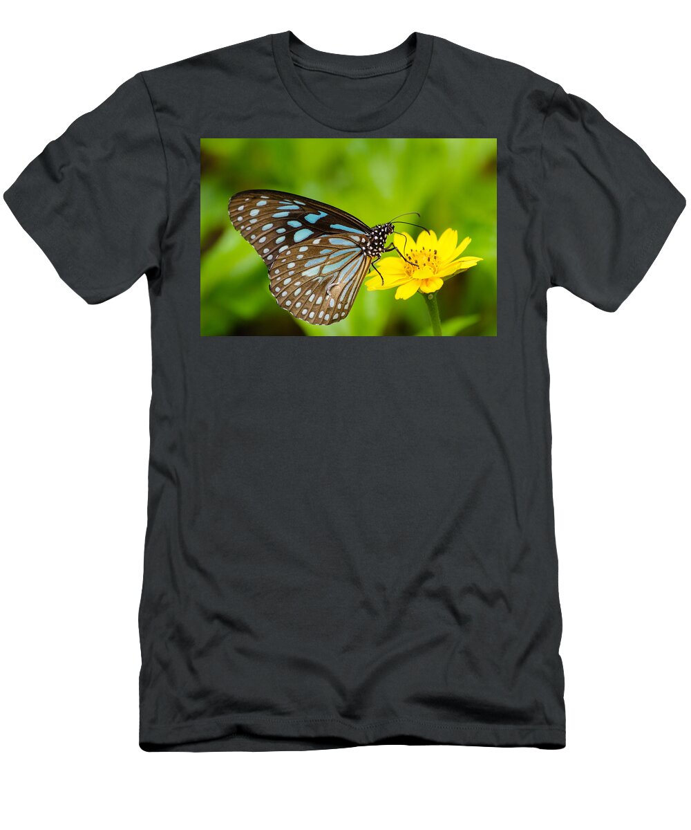 Blue Tiger T-Shirt featuring the photograph Butterfly - Blue Tiger #1 by SAURAVphoto Online Store