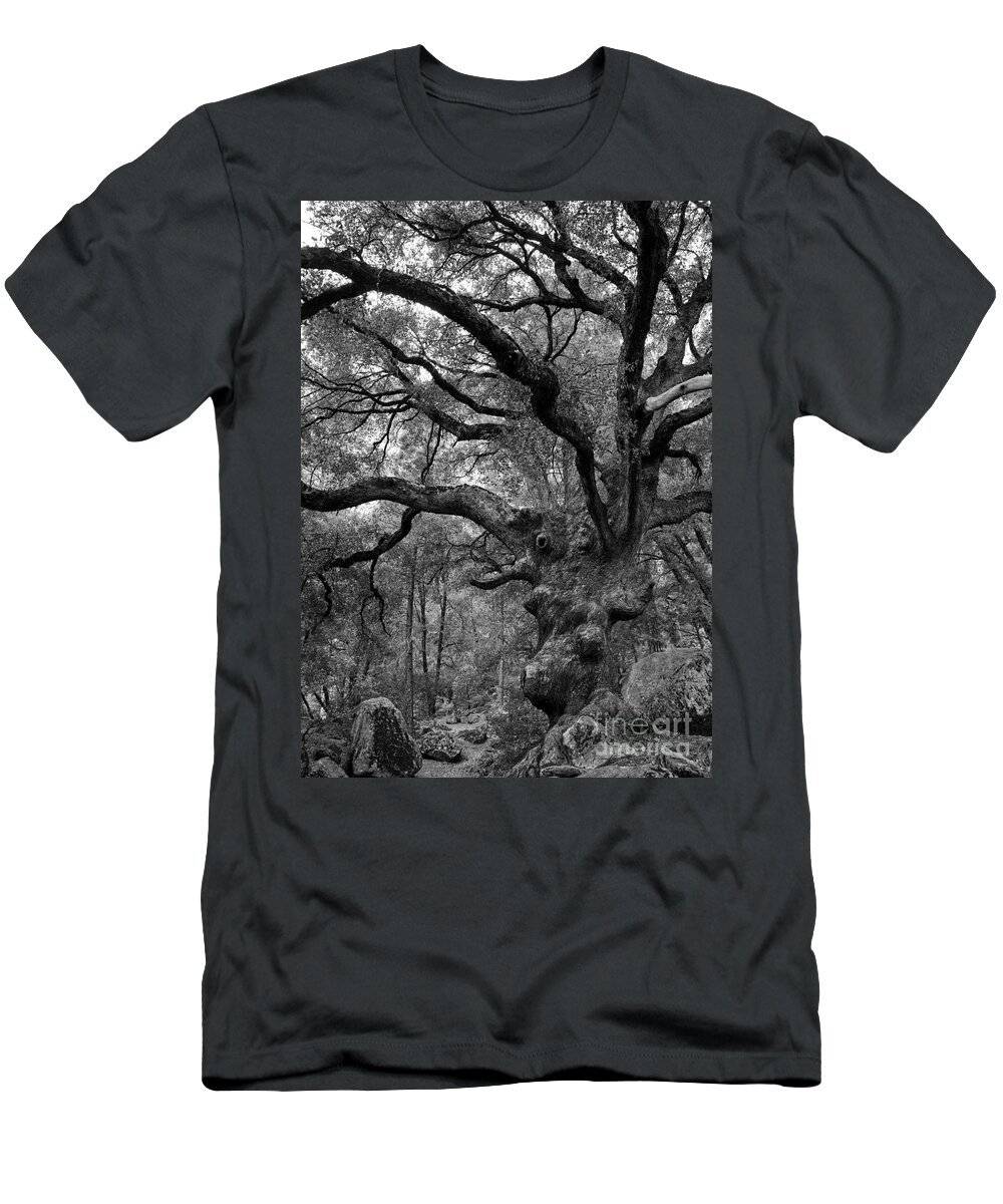 California Black Oak T-Shirt featuring the photograph California Black Oak Tree #1 by B Christopher