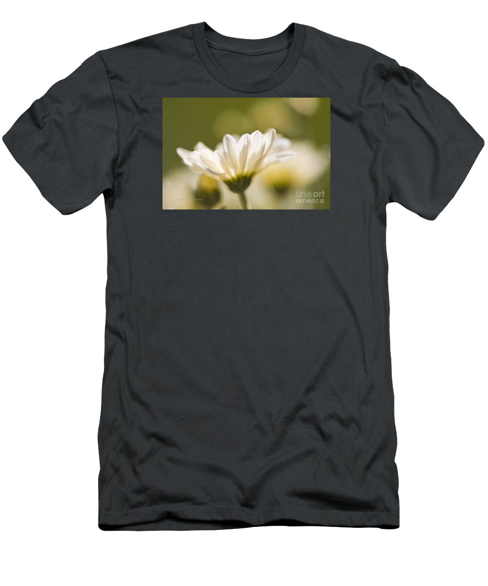 Chrysanthemum T-Shirt featuring the photograph Chrysanthemum Flowers #2 by Richard J Thompson 