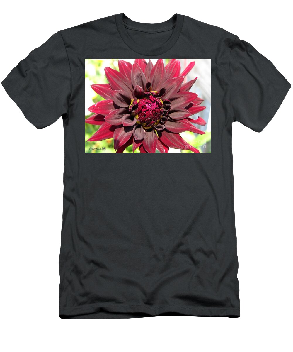 Dahlia T-Shirt featuring the photograph Dahlia named Black Wizard #1 by J McCombie