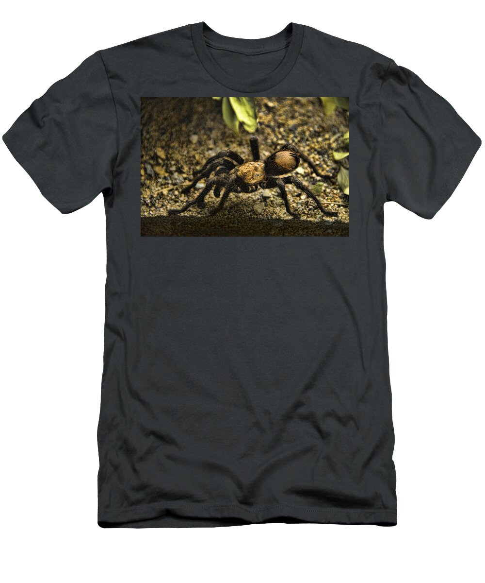 Nature T-Shirt featuring the photograph Desert Tarantula #1 by Mark Newman