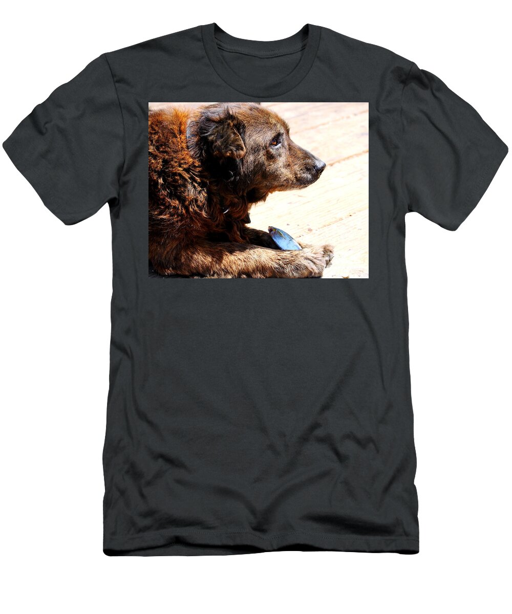 Friend T-Shirt featuring the photograph Dog Eating Fish #1 by Henrik Lehnerer