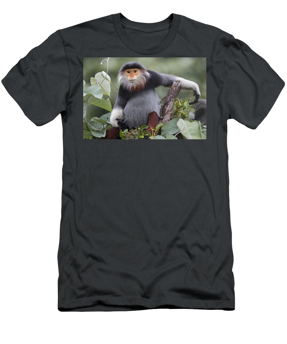 Cyril Ruoso T-Shirt featuring the photograph Douc Langur Male Vietnam #1 by Cyril Ruoso