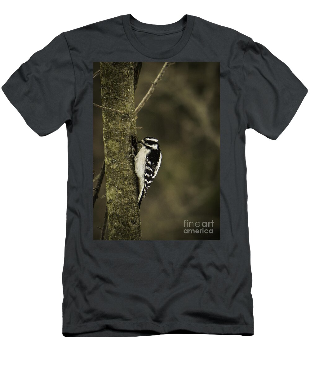 Downy T-Shirt featuring the photograph Downy Woodpecker by Brad Marzolf Photography