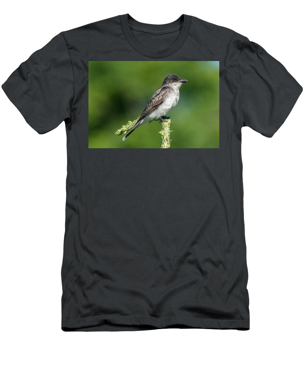 Bird T-Shirt featuring the photograph Eastern Kingbird #1 by Richard Kitchen