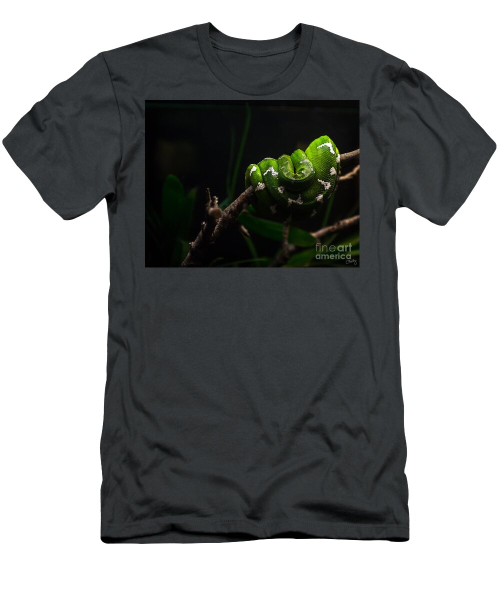 Emerald Tree Boa T-Shirt featuring the photograph Emerald Tree Boa by Imagery by Charly