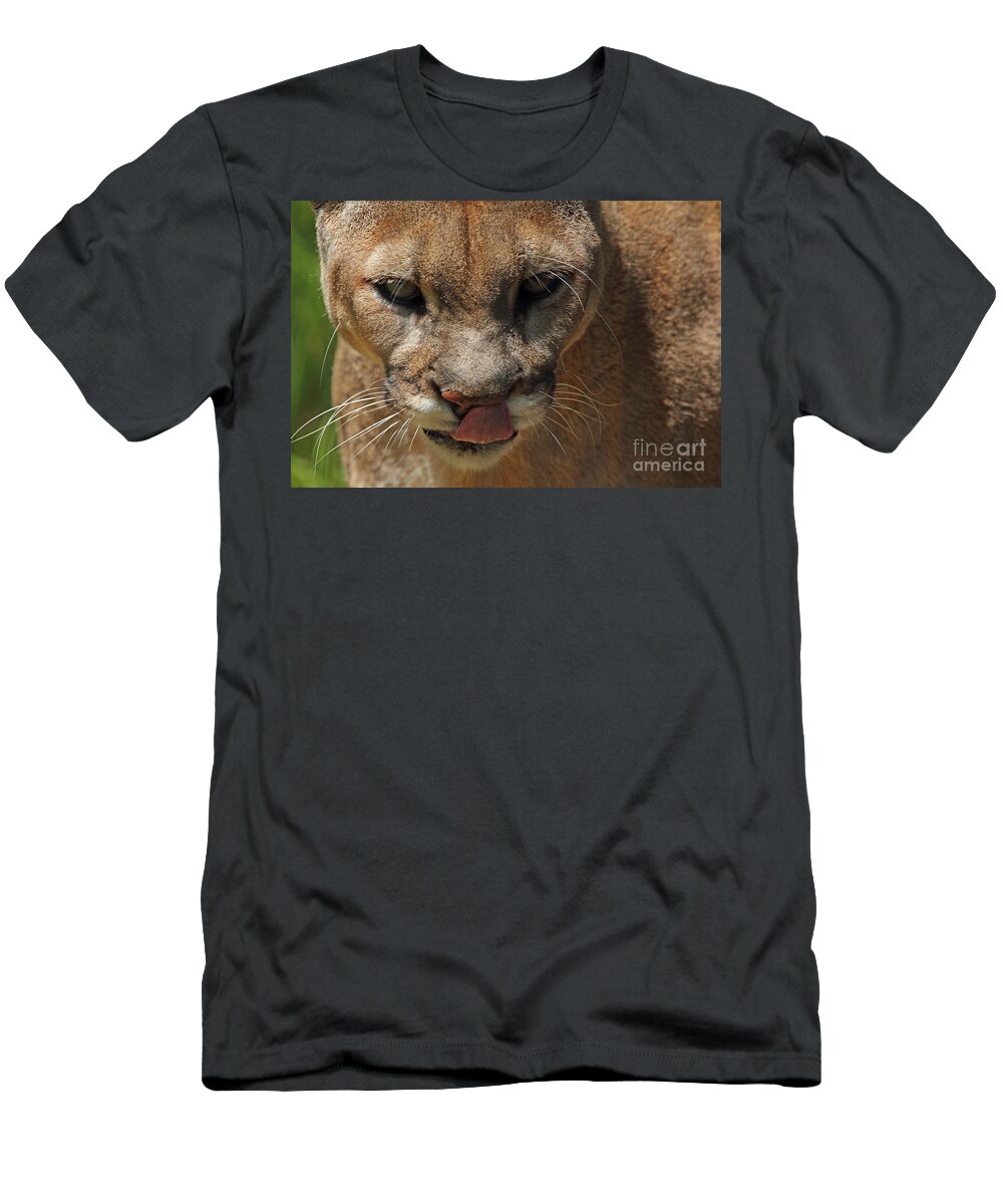 Florida Panther T-Shirt featuring the photograph Florida Panther by Meg Rousher