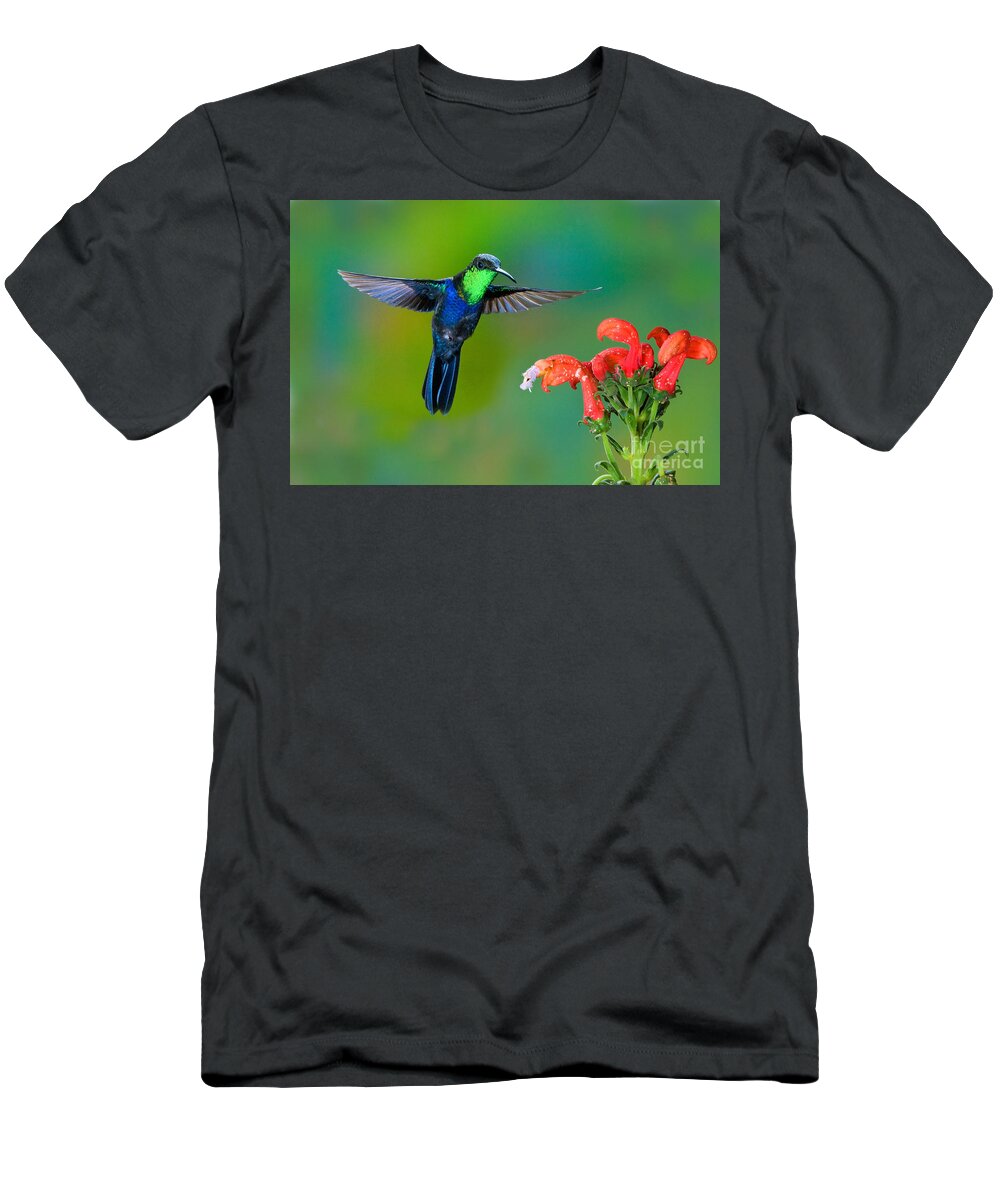 Animal T-Shirt featuring the photograph Fork-tailed Woodnymph #1 by Anthony Mercieca