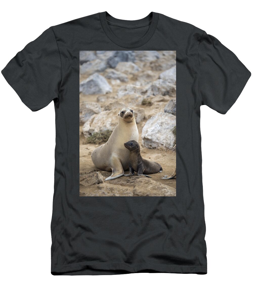 Tui De Roy T-Shirt featuring the photograph Galapagos Sea Lion And Pup Champion by Tui De Roy