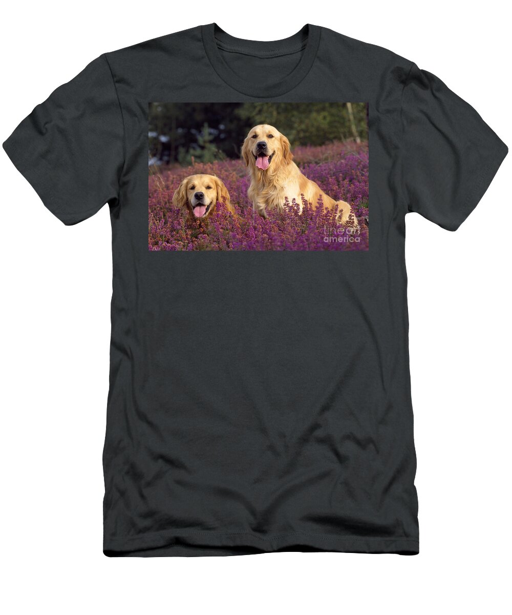 Golden Retriever T-Shirt featuring the photograph Golden Retriever Dogs In Heather #1 by John Daniels