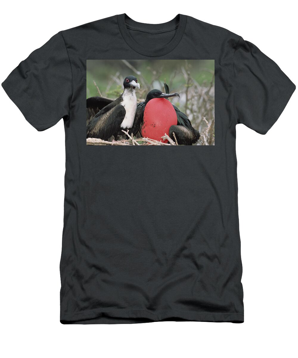 Feb0514 T-Shirt featuring the photograph Great Frigatebird Female Eyes Courting #1 by Tui De Roy