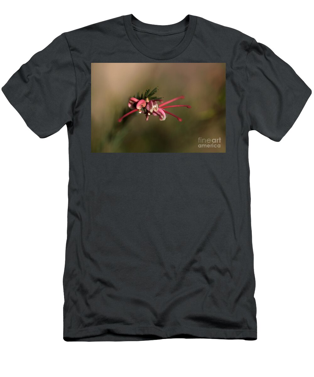 Australian T-Shirt featuring the photograph Grevillea Flower #1 by Joy Watson