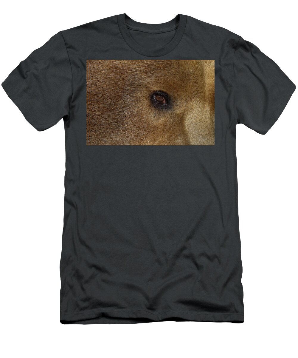 Feb0514 T-Shirt featuring the photograph Grizzly Bear Portrait #1 by San Diego Zoo
