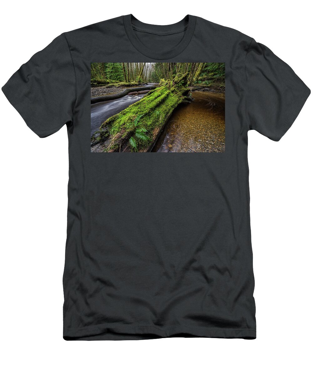 Outdoors T-Shirt featuring the photograph Haans Creek Flows Through The Green #1 by Robert Postma