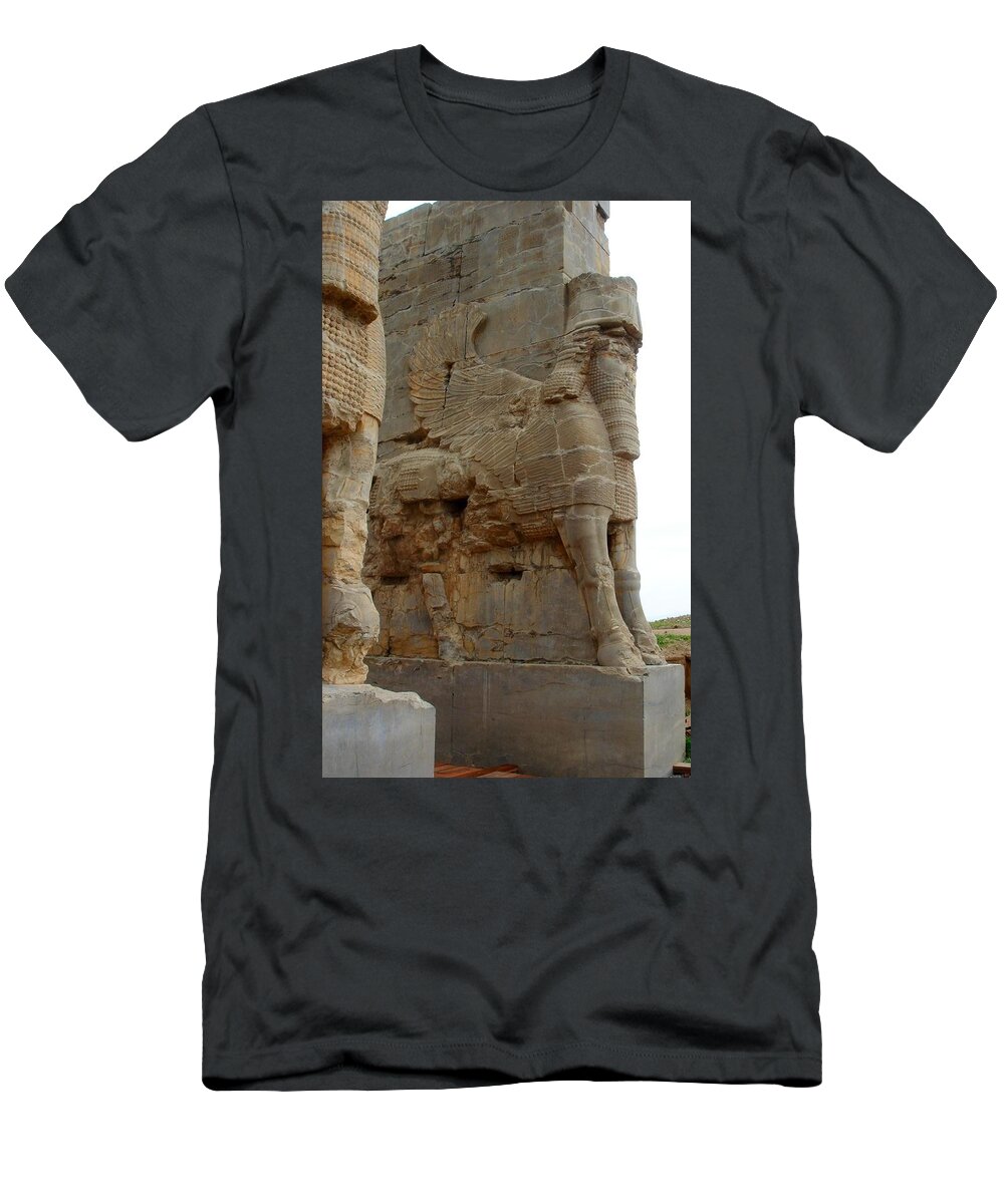 Persepolis T-Shirt featuring the photograph Iran Persepolis #1 by Lois Ivancin Tavaf