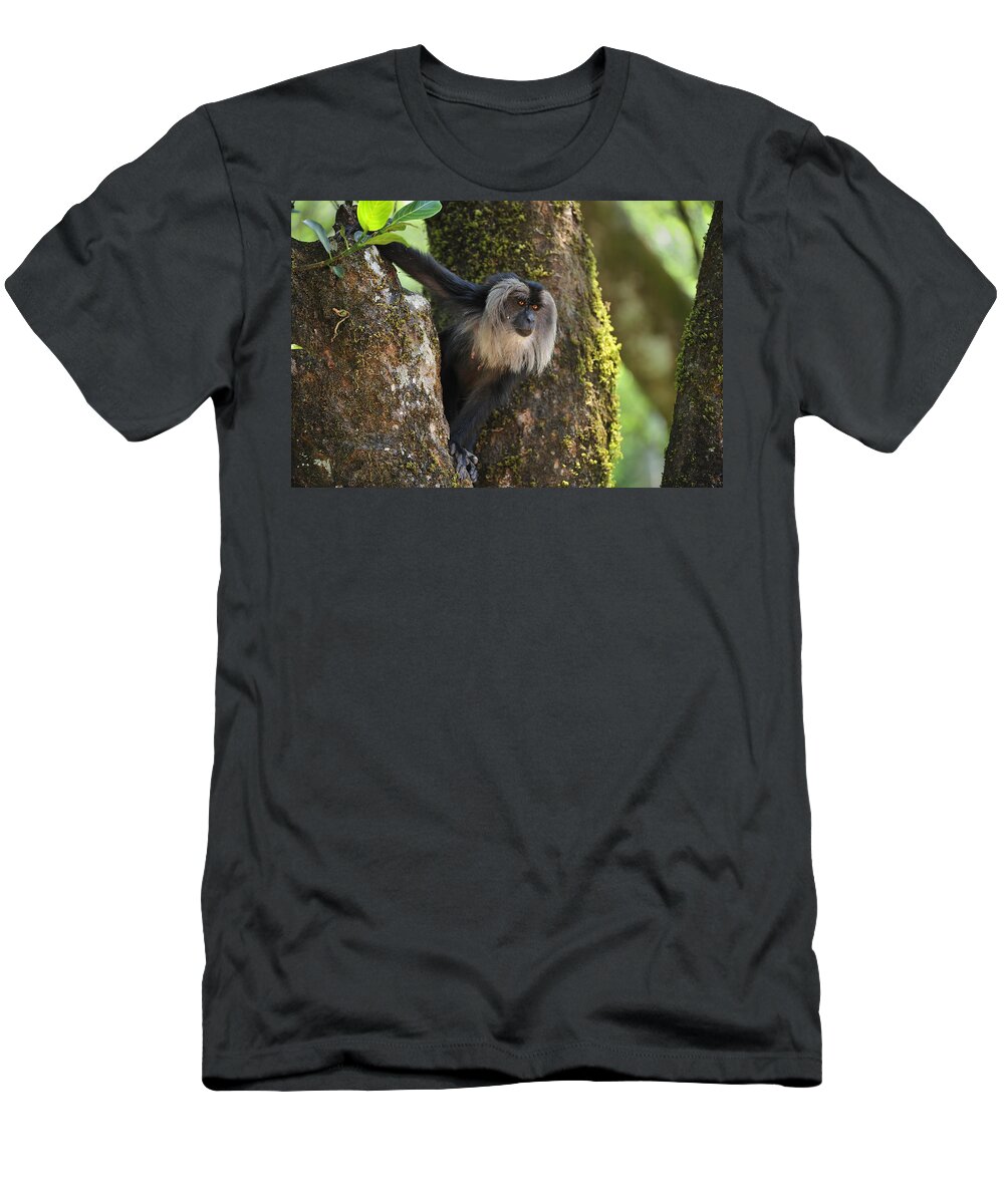 Thomas Marent T-Shirt featuring the photograph Lion-tailed Macaque In Tree India #1 by Thomas Marent